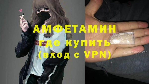 крисы Абаза
