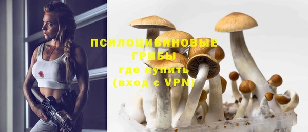 крисы Абаза