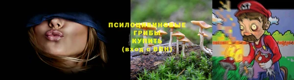 дурь Абинск