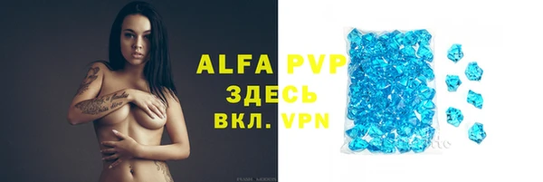 крисы Абаза