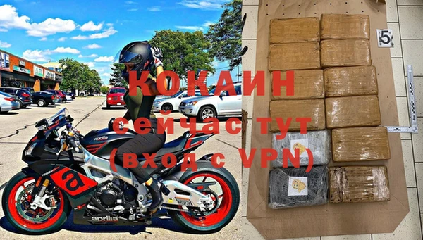 крисы Абаза