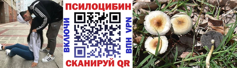 Псилоцибиновые грибы GOLDEN TEACHER Шахты